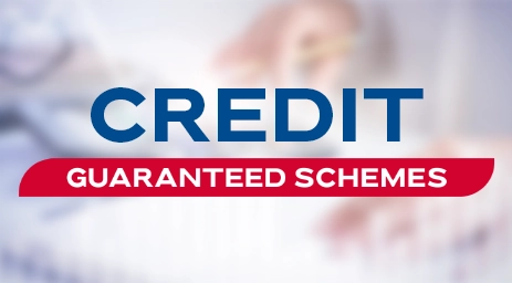 Credit Guarantee Schemes